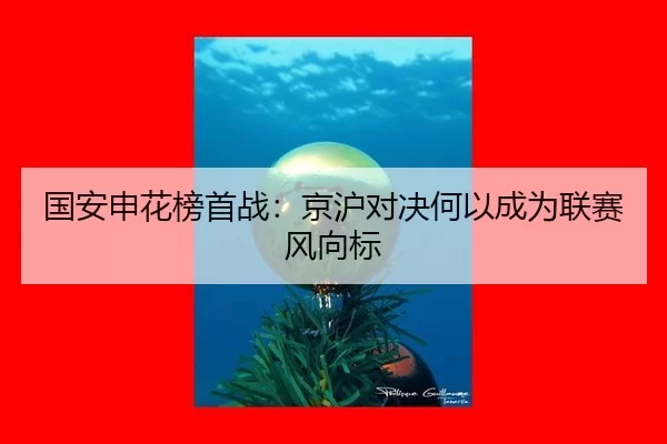 国安申花榜首战：京沪对决何以成为联赛风向标